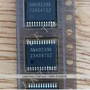 AN49239A